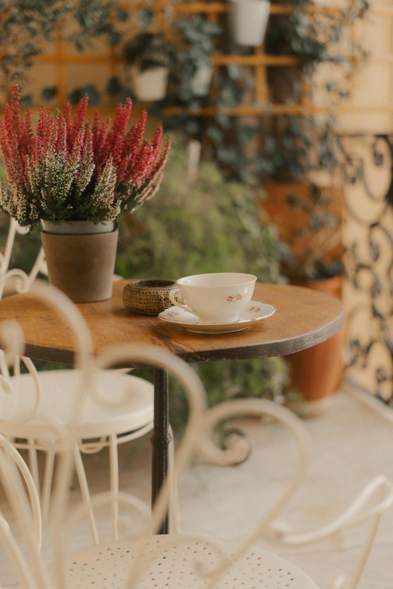 Casa Rame Otel Cenova Dış mekan fotoğraf